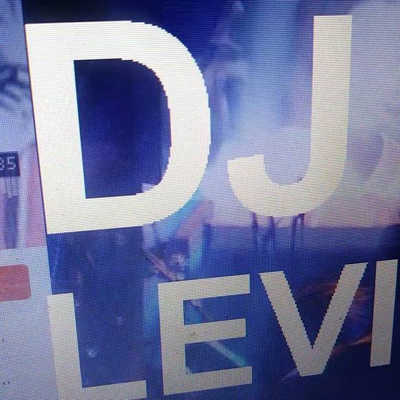 1dj_levitical